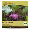 BIO Kohlrabi Samen Sorte Purple Vienna Gemüsesamen BIO Gemüse Saatgut samenfeste