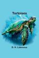Tortoises D. H. Lawrence Taschenbuch Paperback Englisch 2024 Alpha Edition