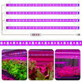 LED Pflanzenlicht Vollspektrum Grow Pflanzenlampe Streifen Wachstumslampe Timer