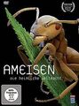 Ameisen - Die heimliche Weltmacht von Thaler, Wolfgang | DVD | Zustand gut