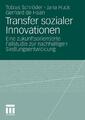 Transfer sozialer Innovationen | Buch | 9783531181394