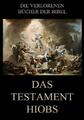 Das Testament Hiobs | Paul Riessler | Deutsch | Taschenbuch | 76 S. | 2020