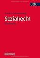 Sozialrecht: Einführung (Rechtssystem und Rechtsanwendun... | Buch | Zustand gut