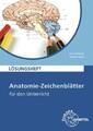 Anatomie-Zeichenblätter für den Unterricht, Lösungsheft Deutsch und Fachbez 3555