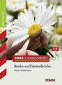 Stark in Klassenarbeiten - Realschule / Mathematik - Brü... | Buch | Zustand gut