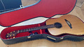 Takamine G10 Series NP 409,- +Koffer u Tonabn. Akustik Gitarre Western