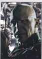 Panini Harry Potter Evolution 63 Lord Voldemort Fragmented Reality Parallel