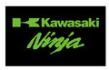 KAWASAKI NINJA Fahne Flagge Banner Flag Motorrad  Motorcycle 90 x 150 cm Typ 2