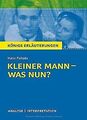 Königs Erläuterungen: Kleiner Mann - was nun? von Hans F... | Buch | Zustand gut