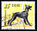 Deutschland DDR gestempelt Tier Haustier Hund Rasse Riesenschnauzer / 1527