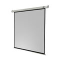 Celexon Leinwand Motor Economy 160 x 160 cm