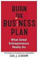 Burn The Business Plan: What Great Entrepreneurs Really ... | Buch | Zustand gut
