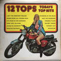 Unbekannter Künstler - 12 Tops - Todays Top Hits (Vinyl)