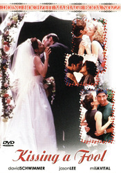 Kissing A Fool - David Schwimmer | DVD | Zustand sehr gut