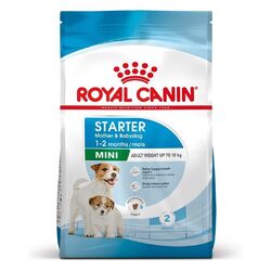 Royal Canin Starter Mini Mother Babydog-Futter, 8 kg