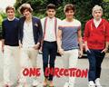 One Direction: Gehen - Mini Poster 40x50 cm neu und versiegelt