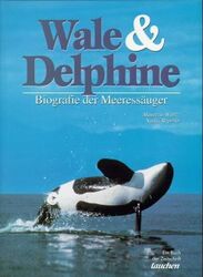 Wale und Delphine