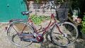 Gazelle Hollandrad 5 Gang, Damen, Bordeauxrot, 28", Rh: 57 cm, 90iger, Fahrrad.