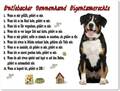 Warnschild - 20x30cm -  Lustige Eigentumsrechte - Entlebucher Sennenhund 01