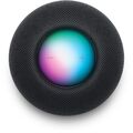 Apple HomePod mini Smart Lautsprecher - Space Grau