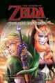 The Legend of Zelda: Twilight Princess, Vol. 11 Akira Himekawa