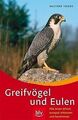 Greifvögel und Eulen: Alle Arten Mitteleuropas erke... | Buch | Zustand sehr gut