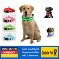 DE LUXE Hundehalsband LED Leuchthalsband Hund Hunde Halsband Band Leuchtband