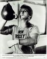 Sylvester Stallone Rocky Original Werbefoto RY6 10x8 Zoll