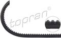 TOPRAN (101 033) Keilriemen für AUDI SEAT VW