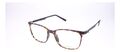 East Room EA1029 C2 unisex Brille Kunststoff Havanna