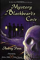 Mystery at Blackbeard's Cove Hardcover Audrey Penn