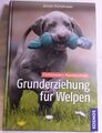 Grunderziehung für Welpen