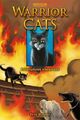 Warrior Cats (3in1) 03: Rabenpfotes Abenteuer von Hunter, Erin