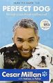 How to Raise the Perfect Dog, Cesar Millan & Melissa Jo Peltier, Used; Good Book