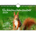 Eichhörnchenzauber DIN A5 Wandkalender für 2024 Eichhörnchen - Seelenzauber