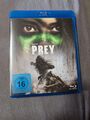 Prey BD | Blu-ray | deutsch, Französisch, italienisch, englisch | 2023