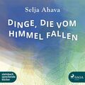 Dinge, die vom Himmel fallen (Audio-CD)