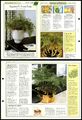 Eichhörnchenfußfern #176 pflegeleichter Erfolg mit Zimmerpflanzen 1990 ausklappbare Karte