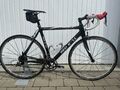 Red Bull Carbon SL 54 cm Rahmen