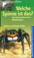 Welche Spinne ist das?