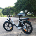 20 Zoll Elektrofahrrad Klapprad E-Bike 250W 16Ah Shimano Pedelec Citybike 25km/h