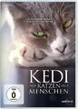 Kedi - Von Katzen und Menschen