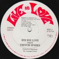 Trevor Sparks - Bye Bye Love (12")