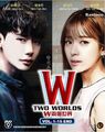 DVD Korean Drama Series W – TWO WORLDS 两个世界 (1-16 Ende) Englischer...