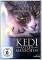 Kedi - Von Katzen und Menschen | DVD | Zustand sehr gut
