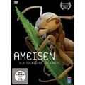 AMEISEN - DIE HEIMLICHE WELTMACHT  DVD NEU