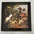 LP Procol Harum – Exotic Birds And Fruit Chrysalis – 6307531 VG+/VG-