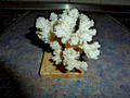 ## kleine Koralle  auf Sockel -  ca. 10,8 cm breit  - Steinkoralle ##