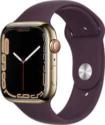 Apple Watch Series 7 45mm Cellular Edelstahlgehäuse gold Sehr Gut – RefurbishedArtikel unterliegt Differenzbesteuerung nach §25a UstG