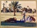 Terence Hill Autogramm Renagade 20‘15 Cm Großes Foto Autogrammsammlung Rar